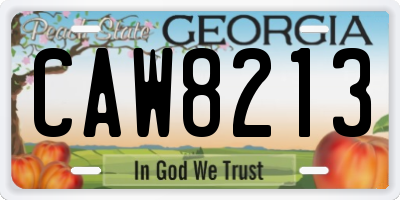 GA license plate CAW8213