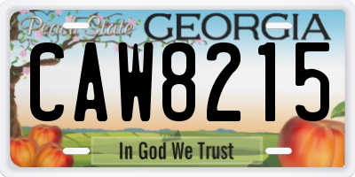 GA license plate CAW8215
