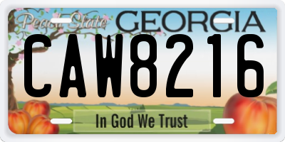 GA license plate CAW8216