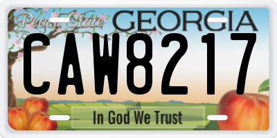 GA license plate CAW8217