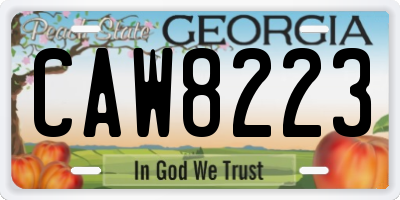 GA license plate CAW8223