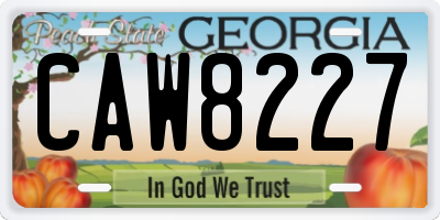GA license plate CAW8227
