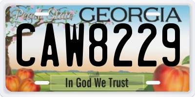 GA license plate CAW8229
