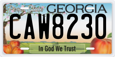GA license plate CAW8230