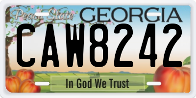 GA license plate CAW8242