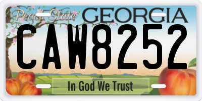 GA license plate CAW8252