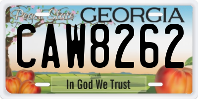 GA license plate CAW8262
