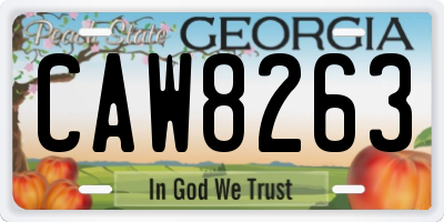 GA license plate CAW8263
