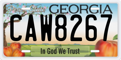 GA license plate CAW8267