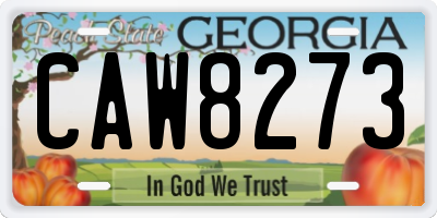 GA license plate CAW8273