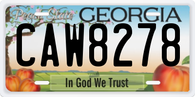 GA license plate CAW8278