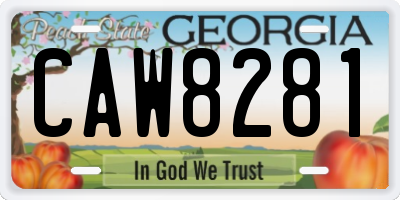 GA license plate CAW8281