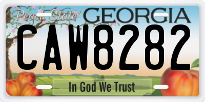 GA license plate CAW8282