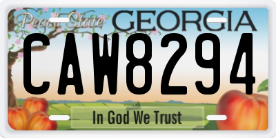 GA license plate CAW8294