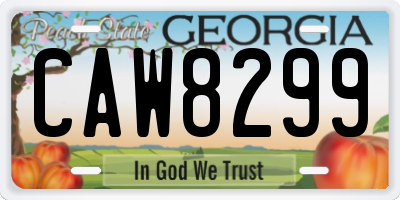 GA license plate CAW8299