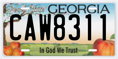 GA license plate CAW8311