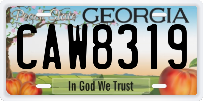 GA license plate CAW8319