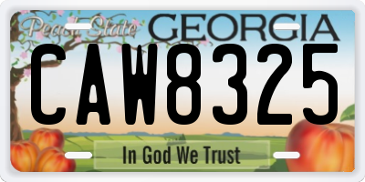 GA license plate CAW8325
