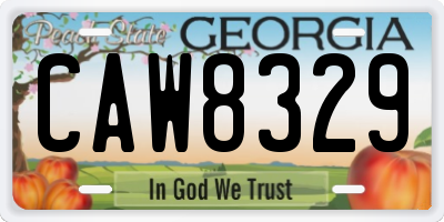 GA license plate CAW8329