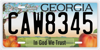 GA license plate CAW8345