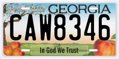 GA license plate CAW8346