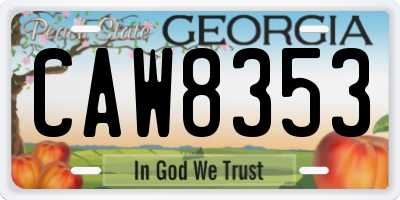 GA license plate CAW8353