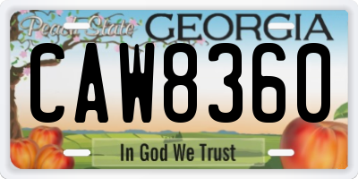 GA license plate CAW8360