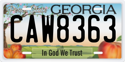 GA license plate CAW8363