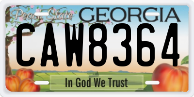 GA license plate CAW8364
