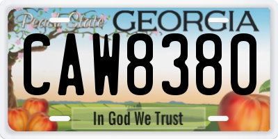GA license plate CAW8380
