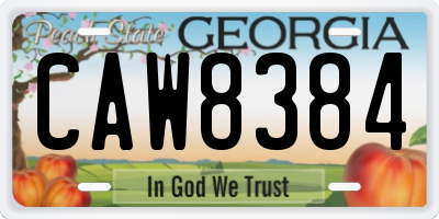 GA license plate CAW8384