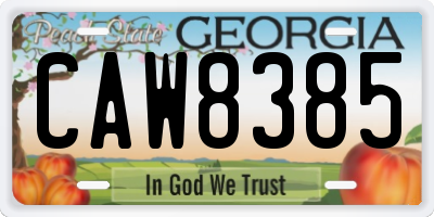 GA license plate CAW8385