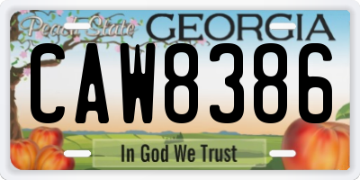 GA license plate CAW8386
