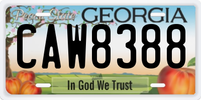 GA license plate CAW8388