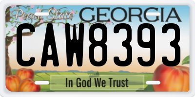 GA license plate CAW8393