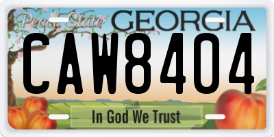 GA license plate CAW8404