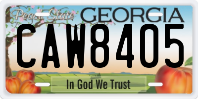GA license plate CAW8405