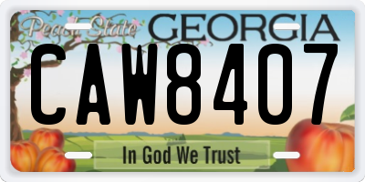 GA license plate CAW8407