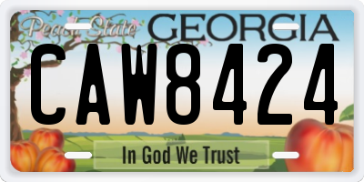 GA license plate CAW8424