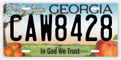GA license plate CAW8428