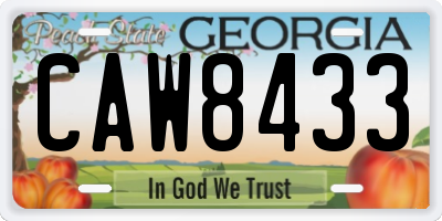 GA license plate CAW8433
