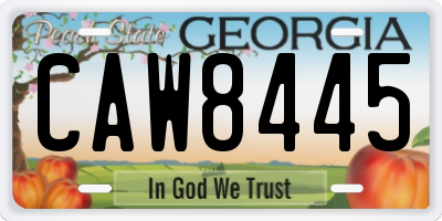 GA license plate CAW8445