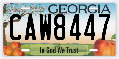 GA license plate CAW8447