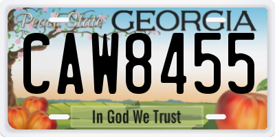 GA license plate CAW8455