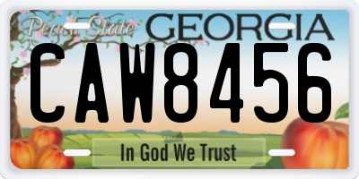 GA license plate CAW8456