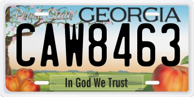GA license plate CAW8463
