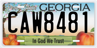 GA license plate CAW8481