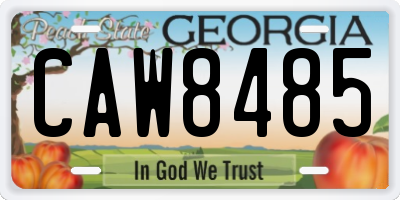 GA license plate CAW8485