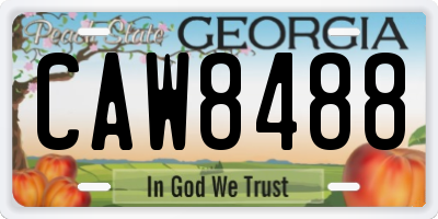 GA license plate CAW8488