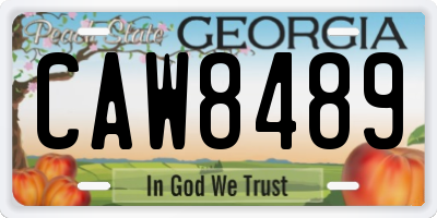 GA license plate CAW8489